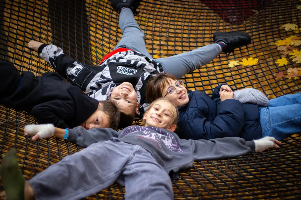 Сітковий парк